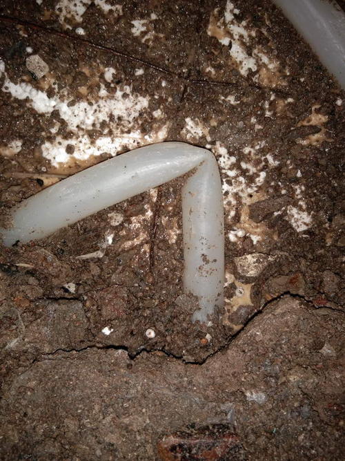 泾川堵点精准查找